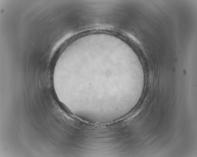 X0000064041310200602242310