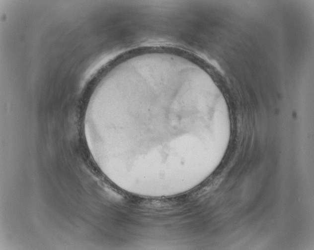 X0000064041311200602242310