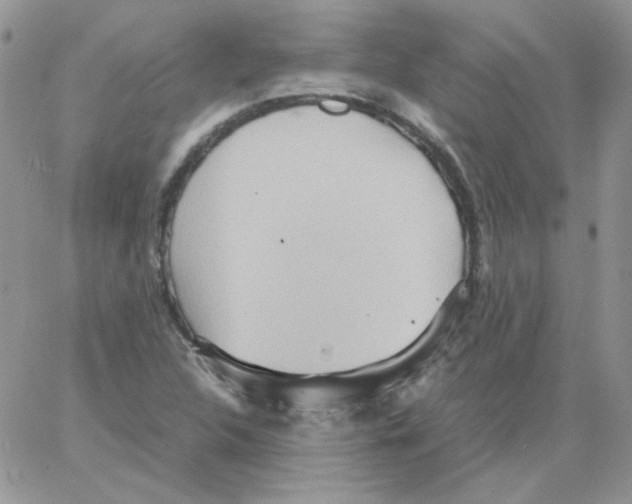 X0000064041312200602242310