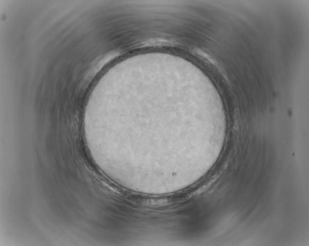 X0000064041313200602242310