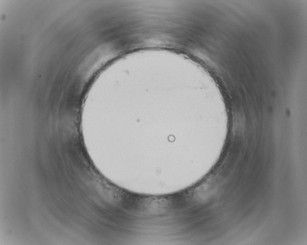 X0000064041314200602242310