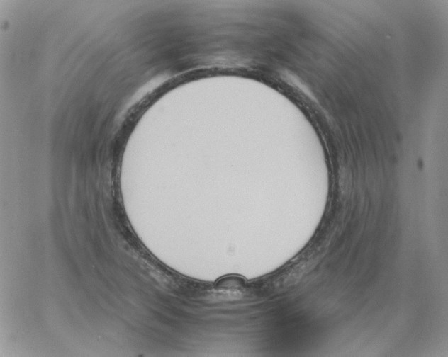 X0000064041315200602242310