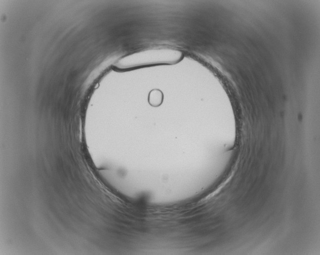 X0000064041317200602242311