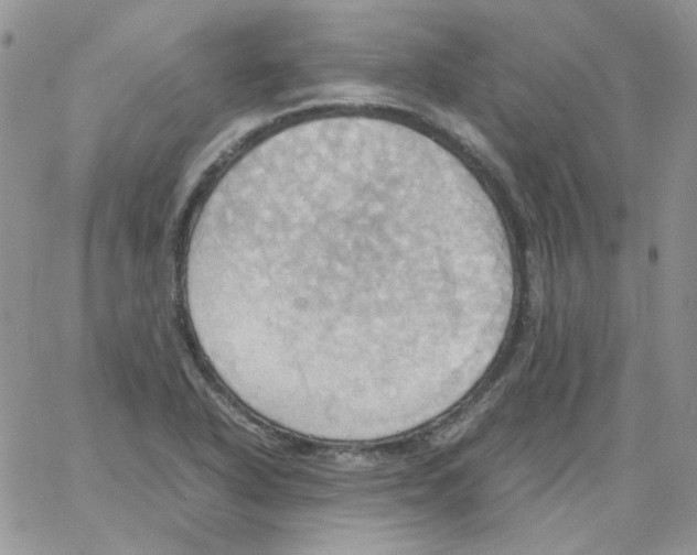 X0000064041318200602242311