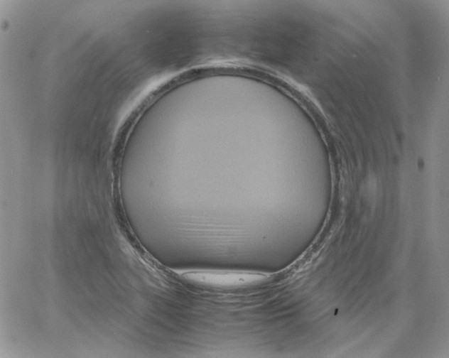 X0000064041319200602242311