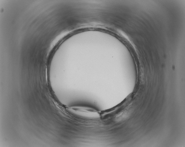 X0000064041320200602242311