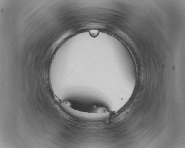 X0000064041321200602242311