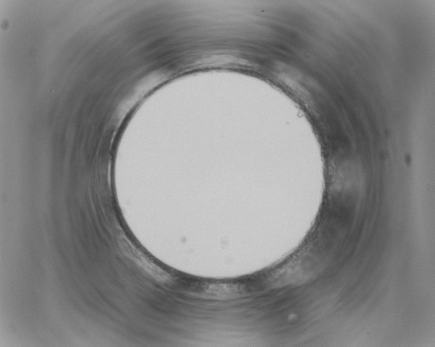 X0000064041322200602242311