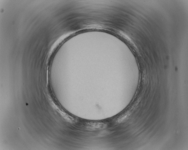 X0000064041323200602242311