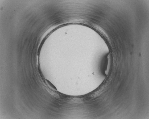 X0000064041324200602242311