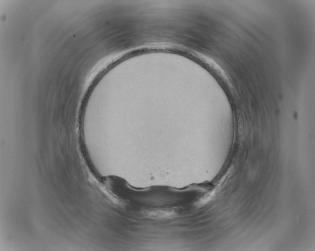 X0000064041327200602242311