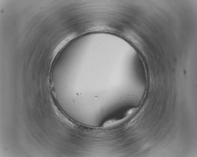 X0000064041330200602242311