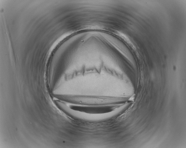 X0000064041331200602242311