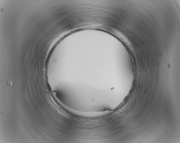 X0000064041332200602242311