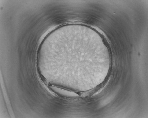 X0000064041333200602242311