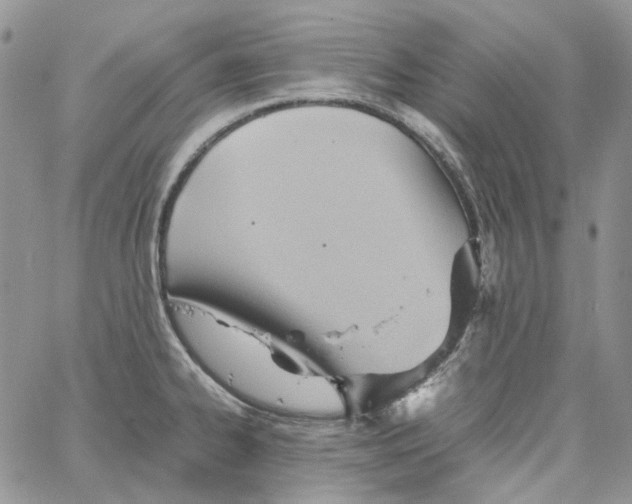 X0000064041334200602242311