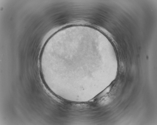 X0000064041335200602242311