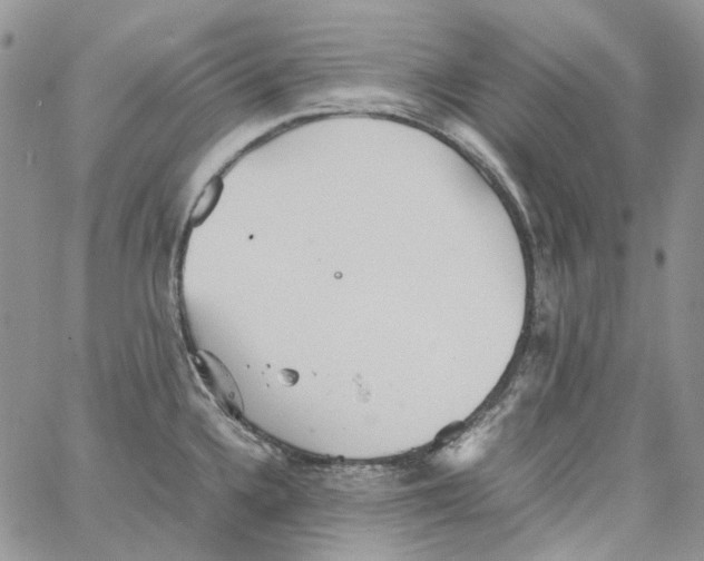 X0000064041336200602242311