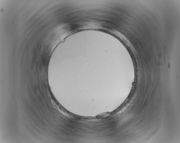 X0000064041337200602242311