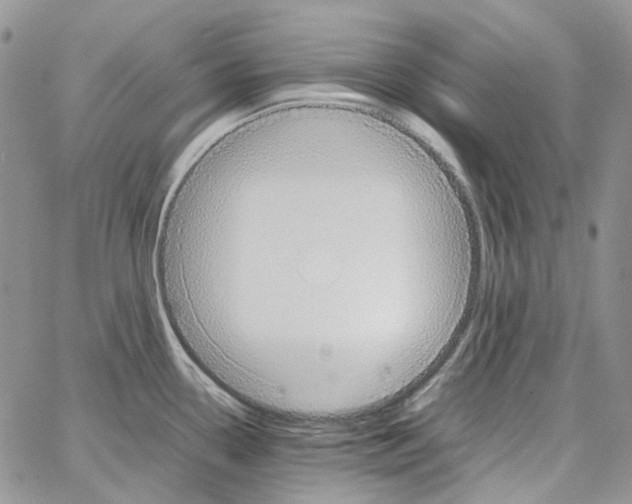 X0000064041338200602242311