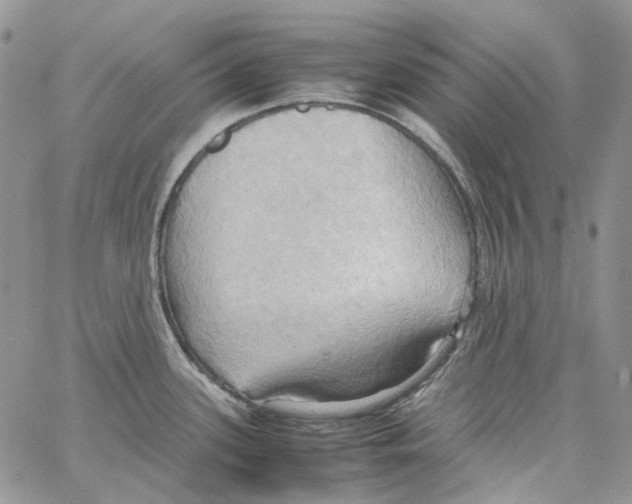 X0000064041339200602242311