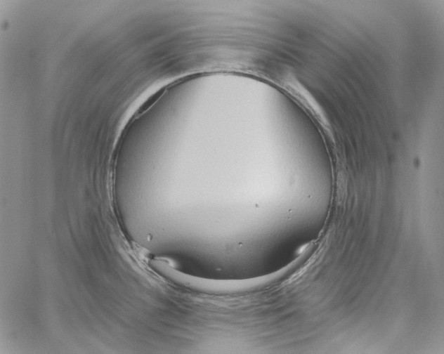 X0000064041340200602242311