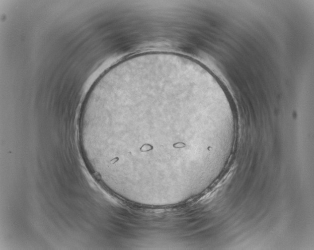 X0000064041341200602242311