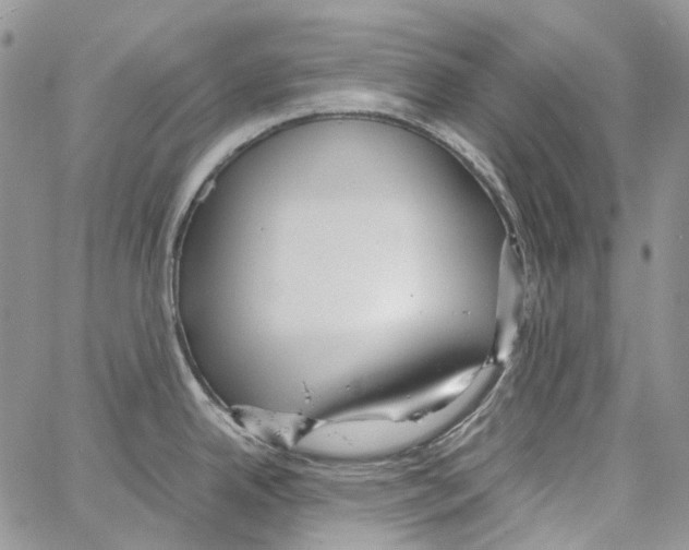 X0000064041342200602242311