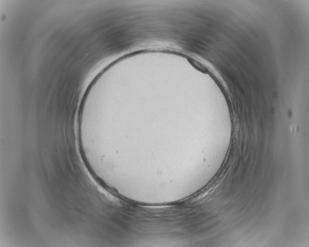 X0000064041343200602242311