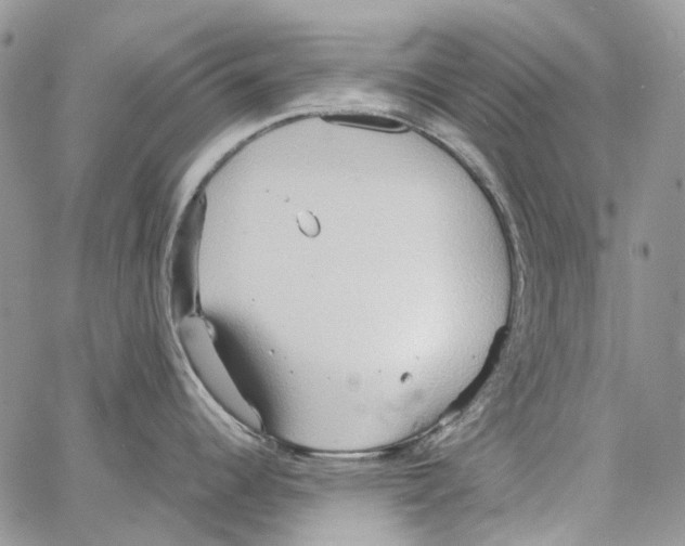 X0000064041344200602242311