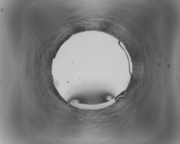 X0000064041345200602242310