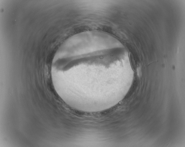 X0000064041347200602242310