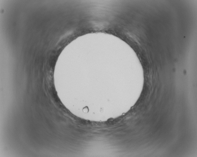 X0000064041349200602242310