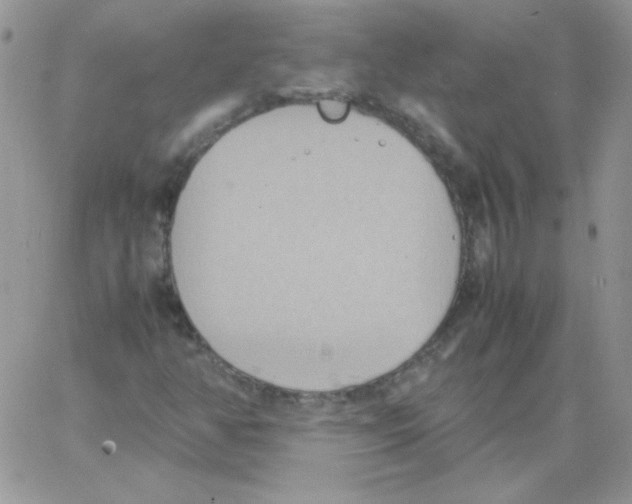 X0000064041350200602242310