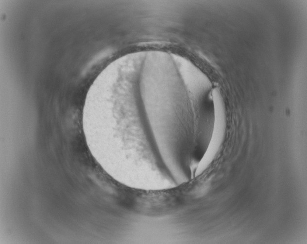 X0000064041351200602242310