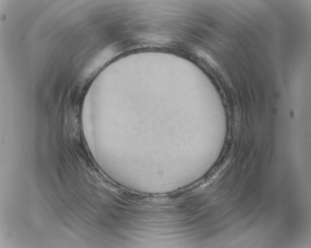 X0000064041354200602242310