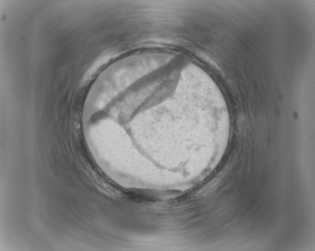 X0000064041355200602242310