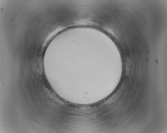 X0000064041358200602242310