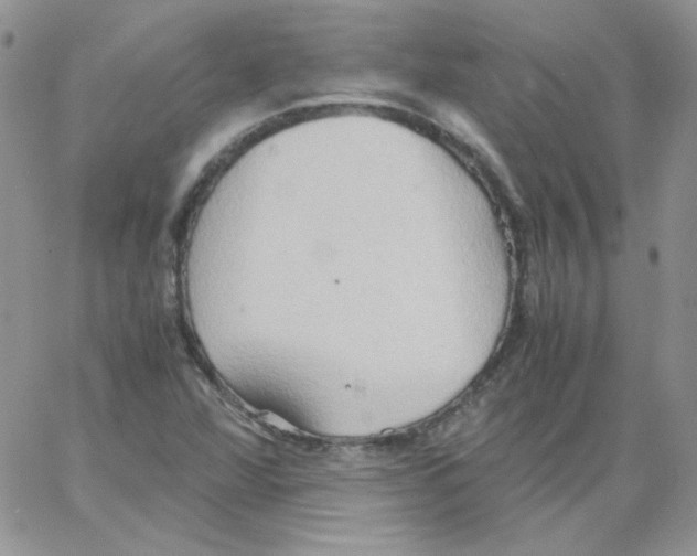 X0000064041360200602242310