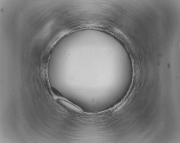 X0000064041361200602242310