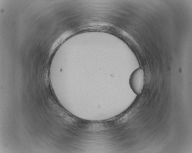 X0000064041362200602242310