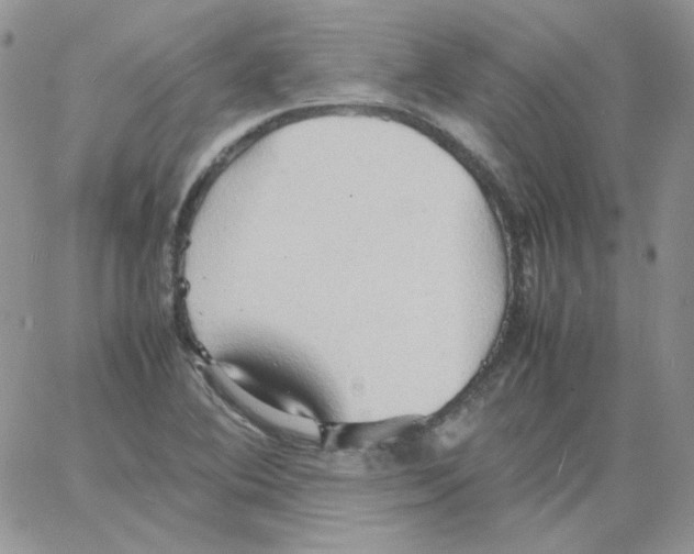 X0000064041364200602242310