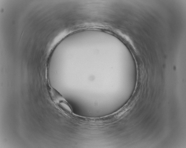 X0000064041365200602242310