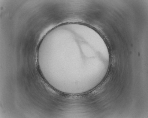 X0000064041366200602242310