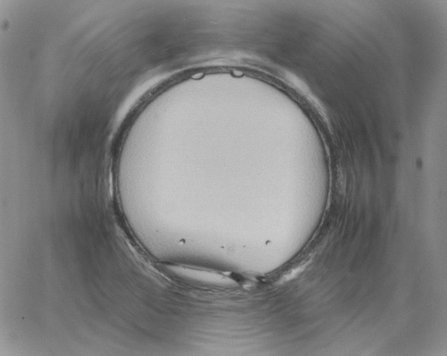 X0000064041368200602242310