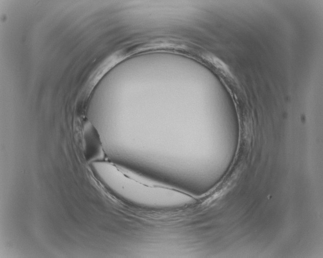 X0000064041369200602242310