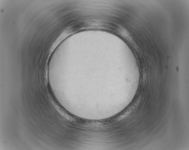 X0000064041370200602242310