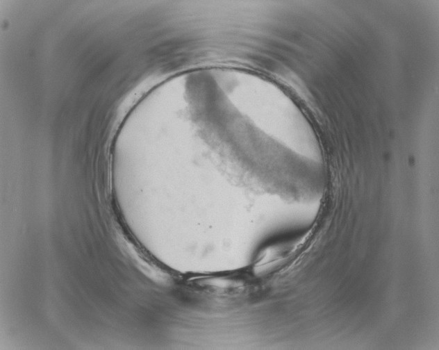 X0000064041371200602242310