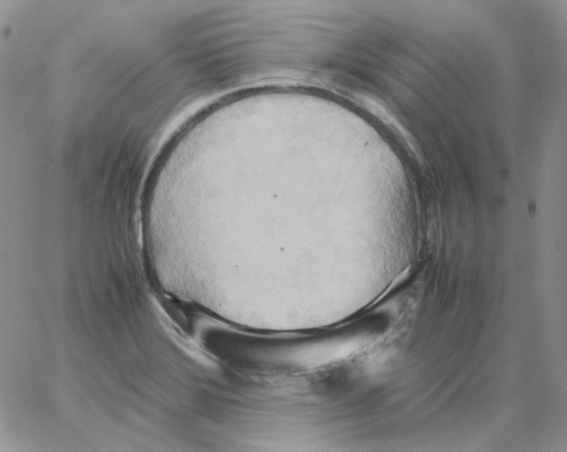 X0000064041372200602242310