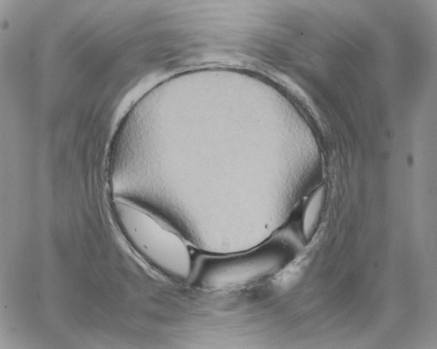 X0000064041373200602242310